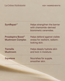 La Crème Hydratante | Daily Moisturizer