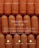 Le Complément Alimentaire | Daily Supplement